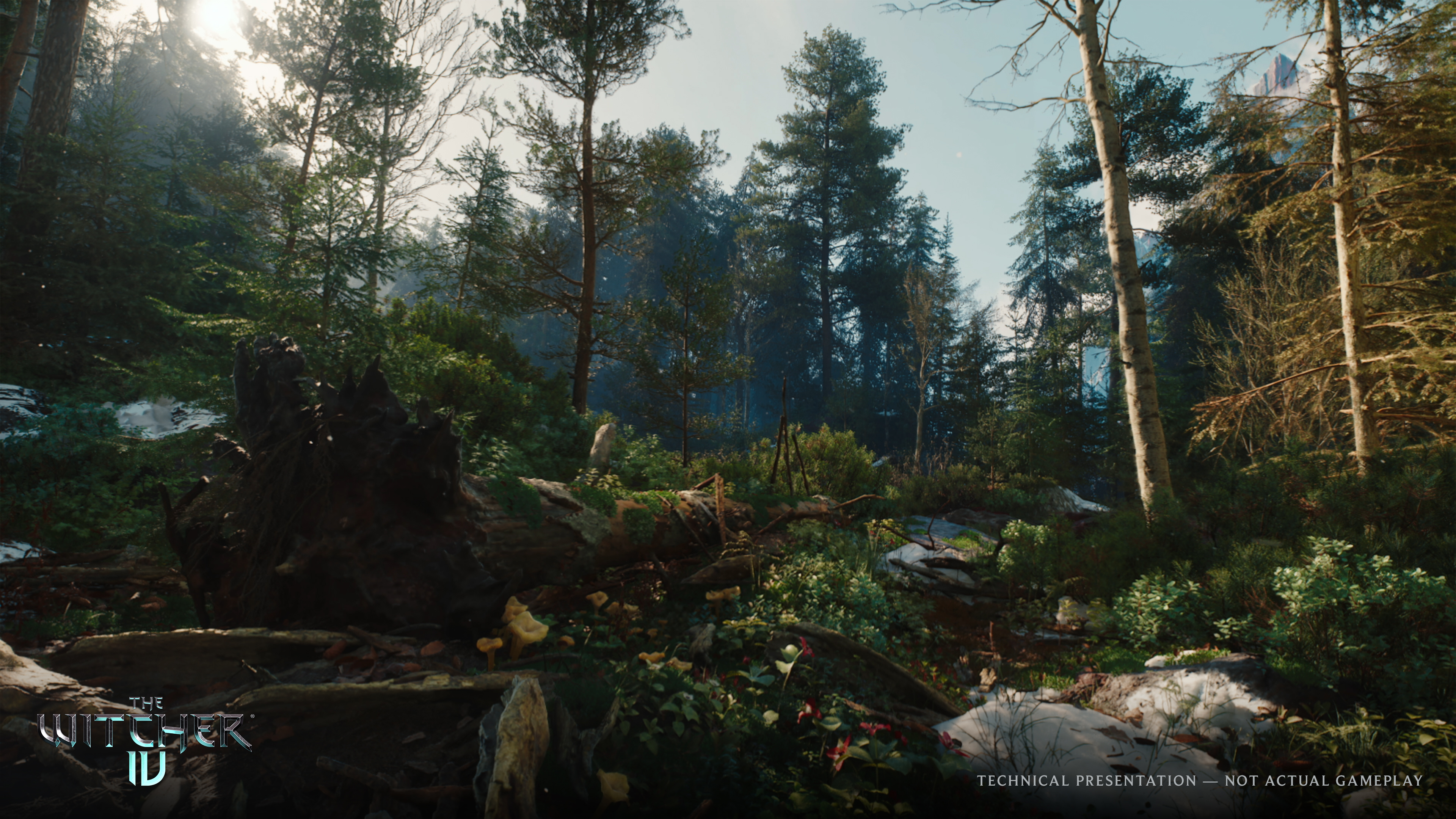 The_Witcher_4_UE5_tech_demo_PS5_Forest_EN_v1.jpeg