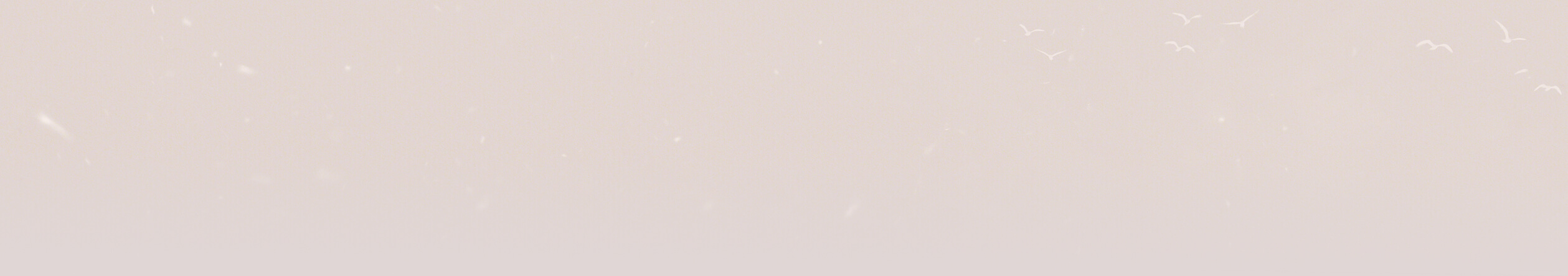 background decoration